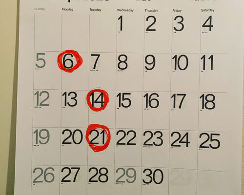 今月の休診日