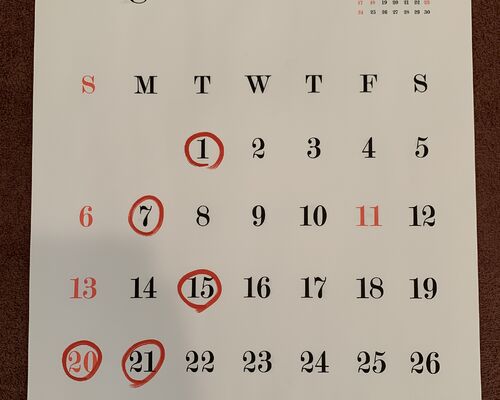 休診日のカレンダーです
