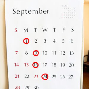 休診日カレンダー