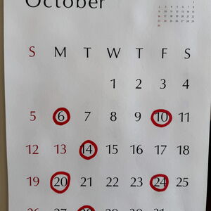 休診日カレンダー